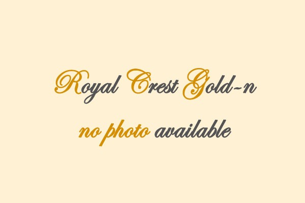 Royal Crest Gold-n Please Don't Dream Alone